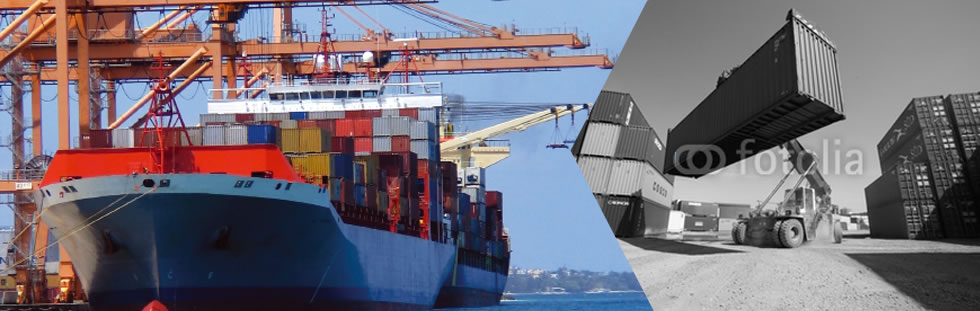 competitive sea freight solutions